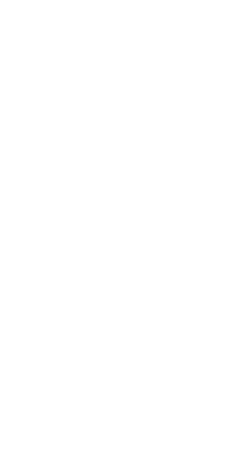 300 x 600 tile